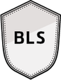 Belt Sander/Linisher Badge image