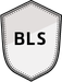 Belt Sander/Linisher Badge image