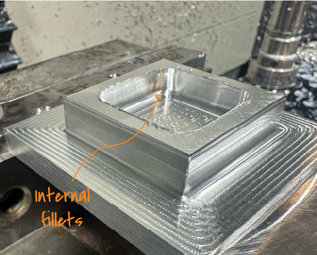 Bull_Nose_3.max-800x600