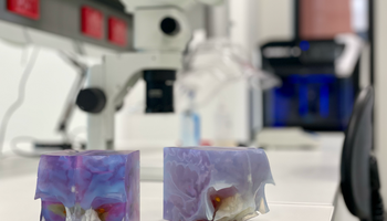 CBT-Lab