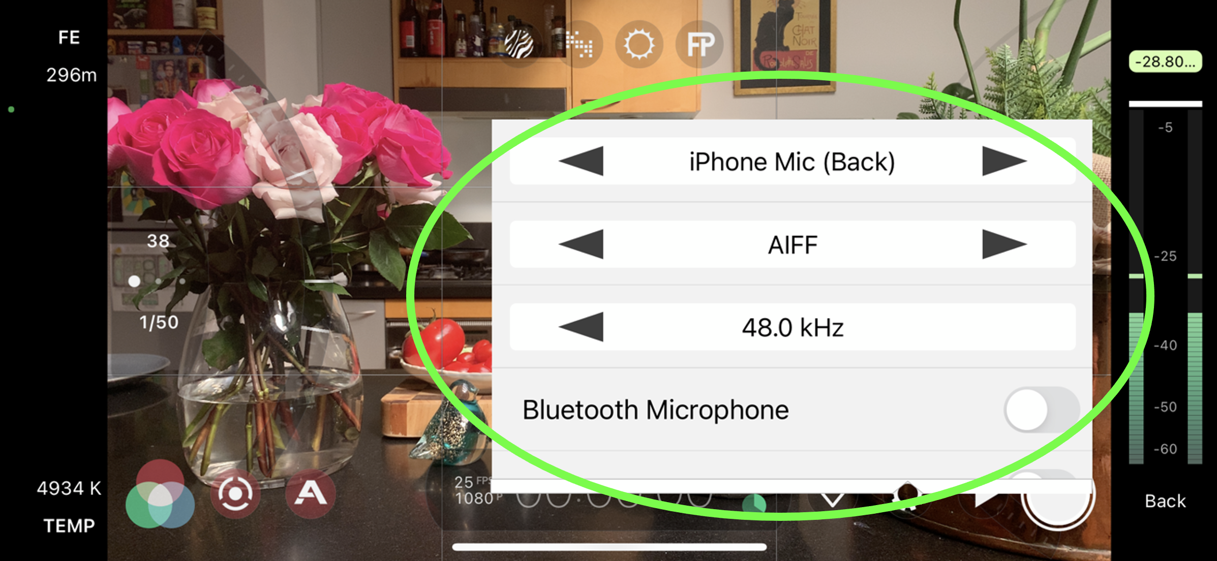 FP Audio
