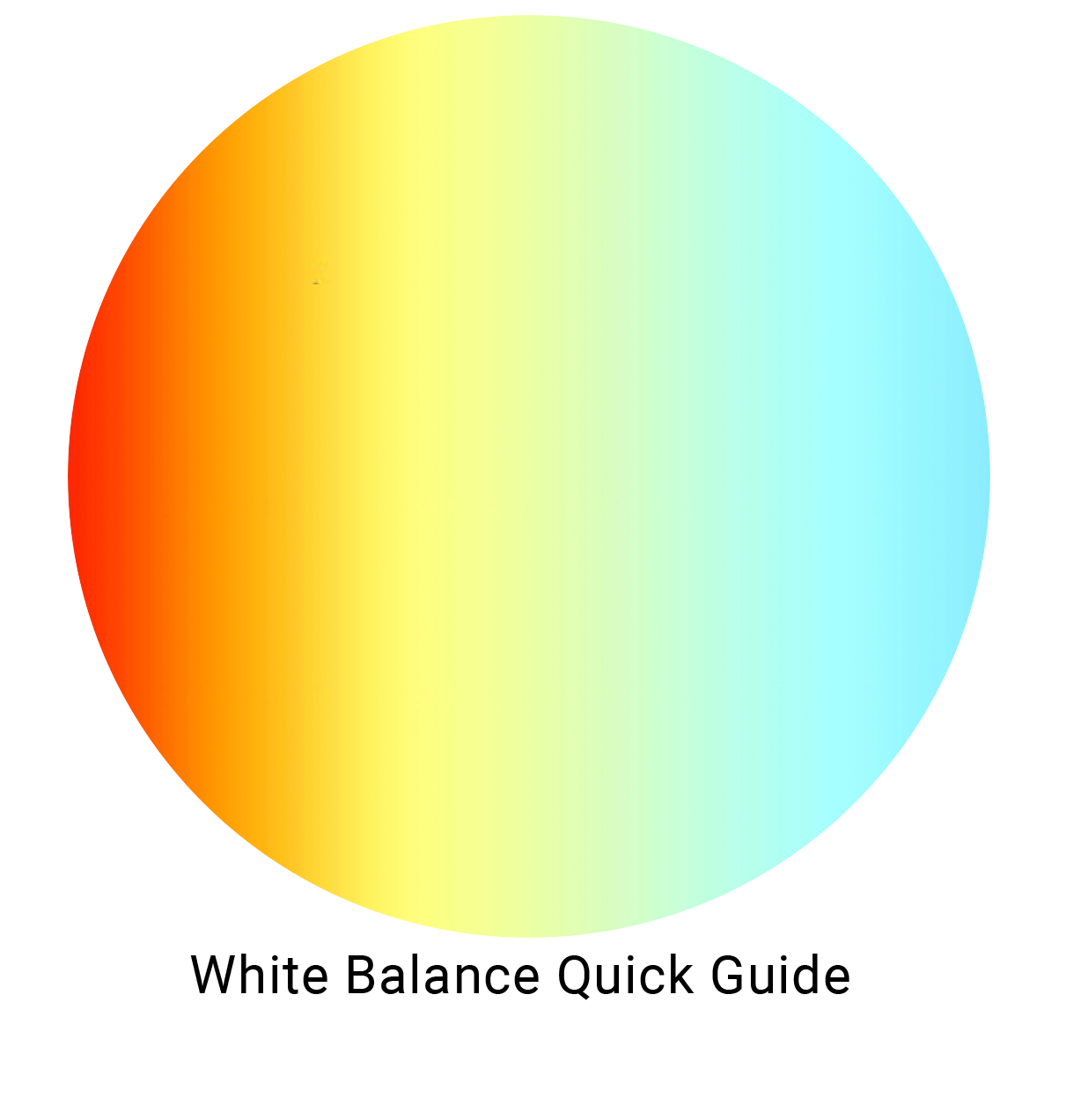 White Balance Button