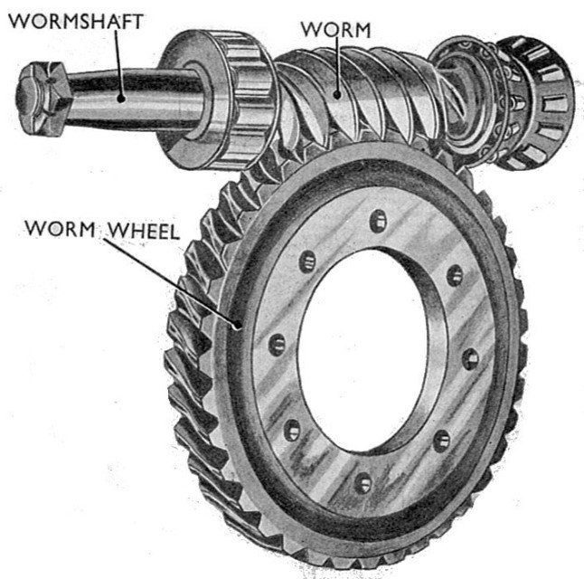 Worm Gear